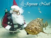 image_pere_noel_poisson.jpg